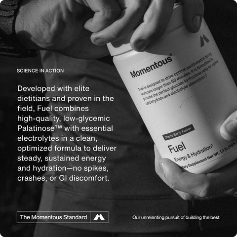 Fuel 10-Travel Packs Momentous