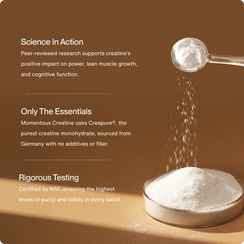 Creatine Momentous