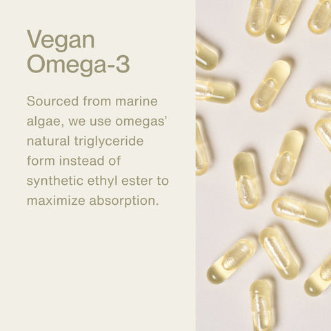 The Momentous Three - Vegan Momentous